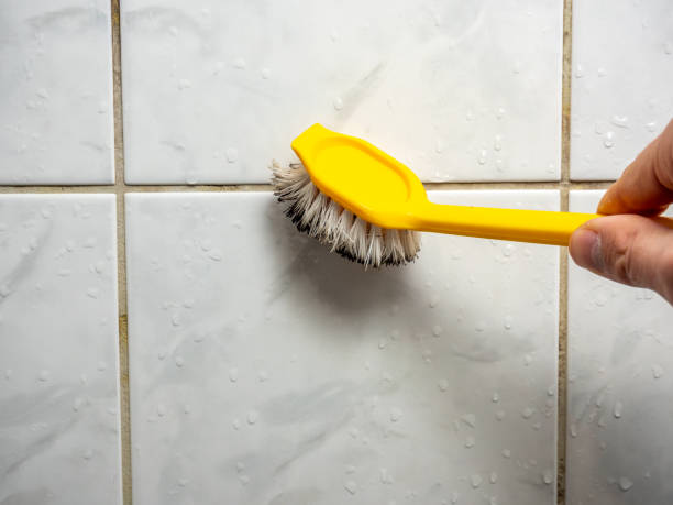 Mold Removal Process in Hamilton, AL
