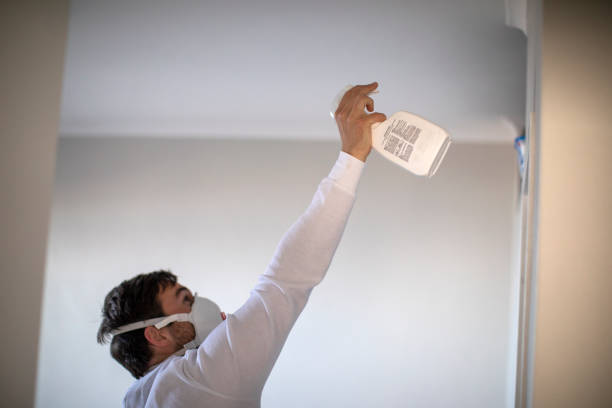 Best Mold Testing  in Hamilton, AL