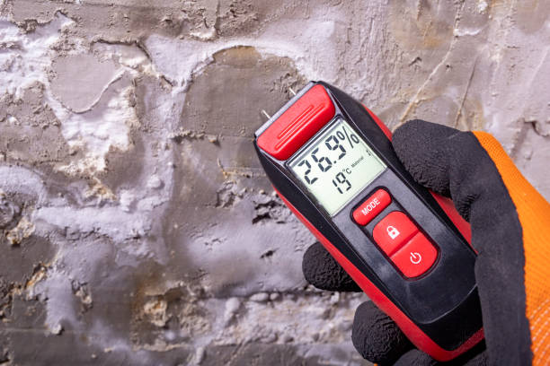 Best Commercial Mold Removal  in Hamilton, AL