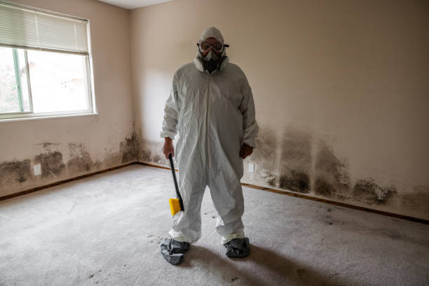 Best Commercial Mold Removal  in Hamilton, AL